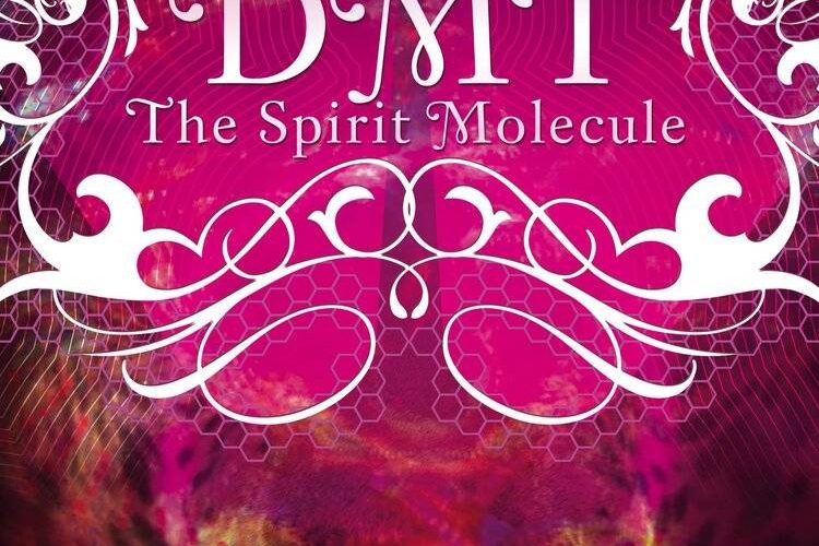 DMT: THE SPIRIT MOLECULE [SubITA]