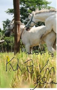 an7G2KZnA2Vl1zCF8A8qb85730h
