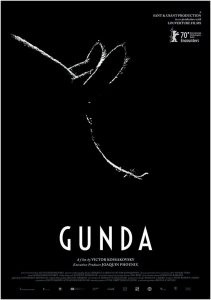 ezgif-1-8811e36e6d15