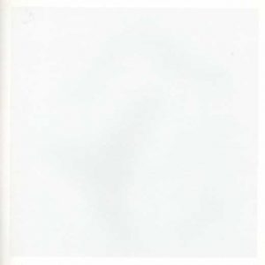 THE BEATLES - May '68, the unplugged alternate WHITE ALBUM R