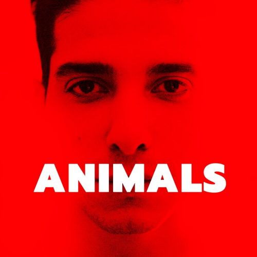 ANIMALS [SubITA]