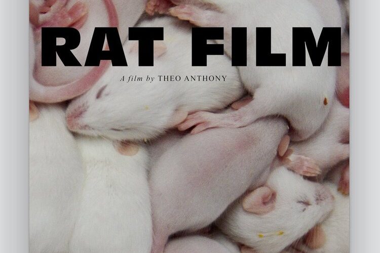 RAT FILM [SubITA]