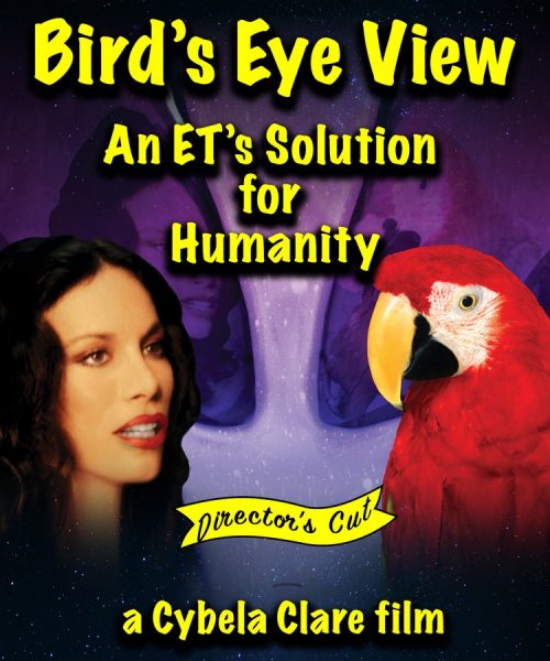 BIRD’S EYE VIEW – AN ET’S SOLUTION FOR HUMANITY (SubITA)