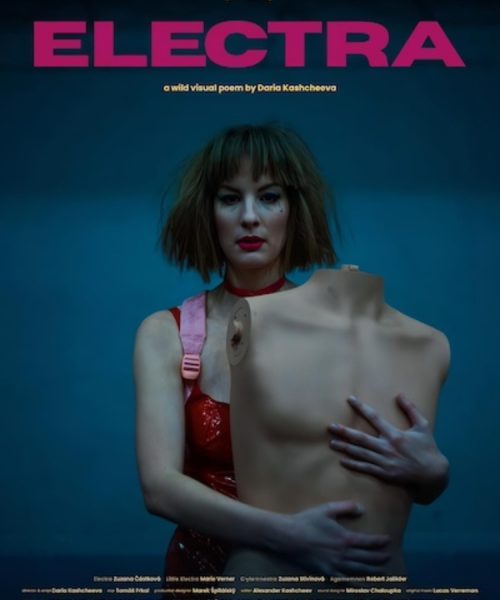 ELECTRA (SubITA)