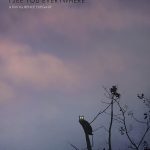 FOREST: I SEE YOU EVERYWHERE (SubITA)