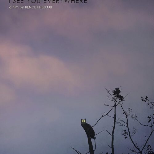 FOREST: I SEE YOU EVERYWHERE (SubITA)