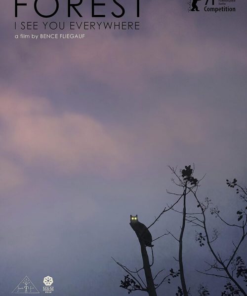 FOREST: I SEE YOU EVERYWHERE (SubITA)