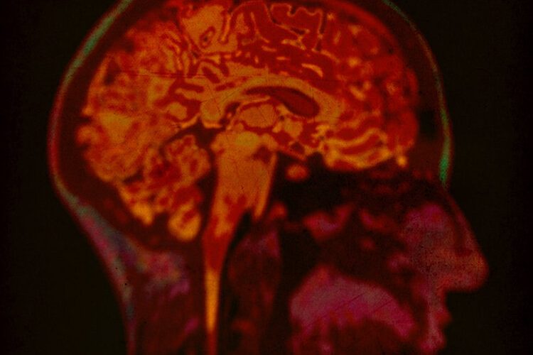 IN MEMORY OF (SubITA)