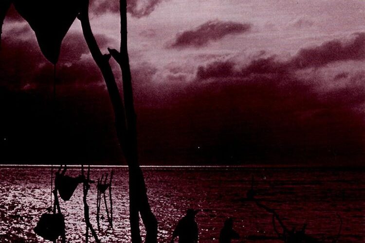 FAREWELL TO THE ARK (SubITA)