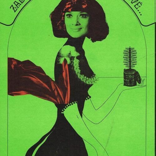 I KILLED EINSTEIN, GENTLEMEN (SubITA)