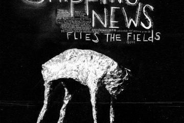 SHIPPING NEWS – flies the field