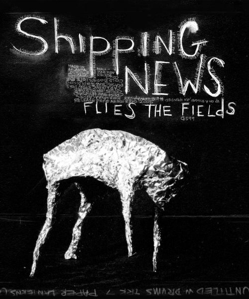 SHIPPING NEWS – flies the field