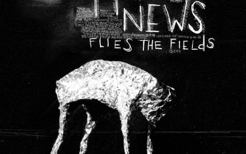 SHIPPING NEWS – flies the field